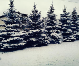 Zima Starachowice 29.11.2020