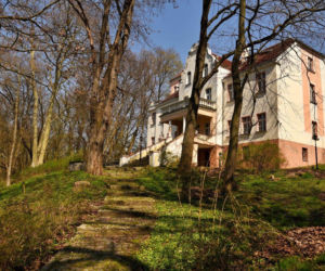 Pałac w Witosławiu