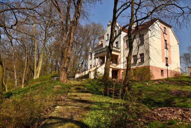 Pałac w Witosławiu