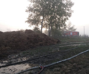 Pożar słomy w Dąbrowicy