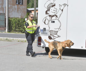 Do poszukiwań Dawidka zostały włączone specjalne psy niemieckiej policji