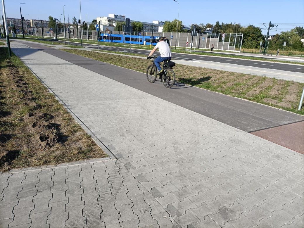Kraków. Nasadzenia w ramach budowy KST do Górki Narodowej. Mieszkańcy krytykują: „ozdobne krzewy proszę sobie posadzić w ogródku albo na balkonie”