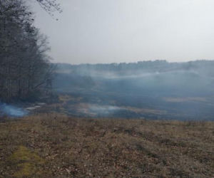 Pożar lasu pod Olsztynem. Gdyby nie szybka reakcja ratownicza, straty byłyby ogromne [FOTO]