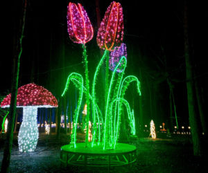 Lumina Park Bydgoszcz