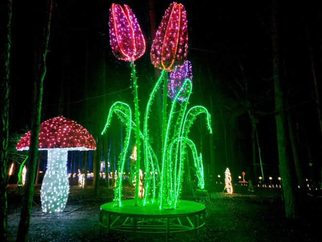 Lumina Park Bydgoszcz
