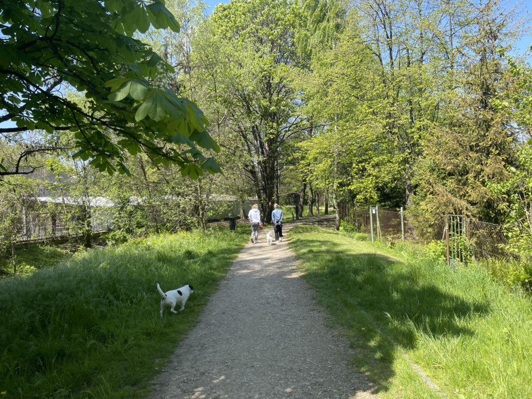 Kraków ma najdłuższy park w Polsce. Poznajcie Młynówkę Królewską! 