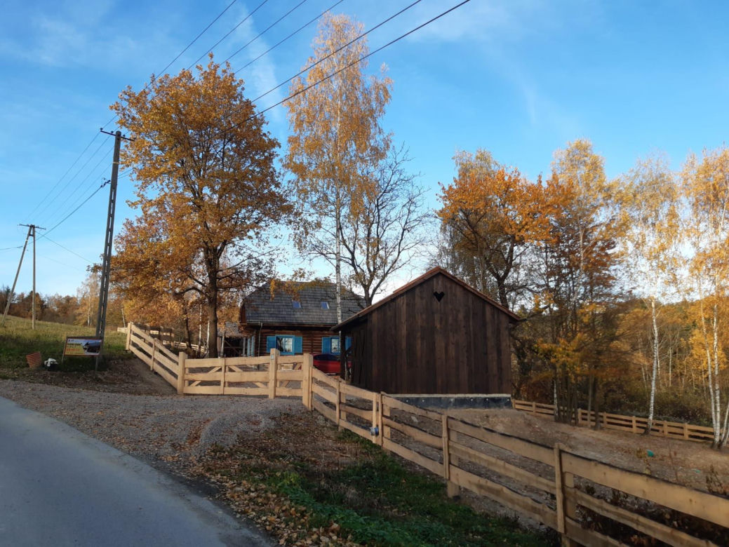 Remont drewnianej chaty w Tropiu (woj. małopolskie)