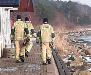 Ptasia grypa dziesiątkuje łabędzie na Zatoce Puckiej