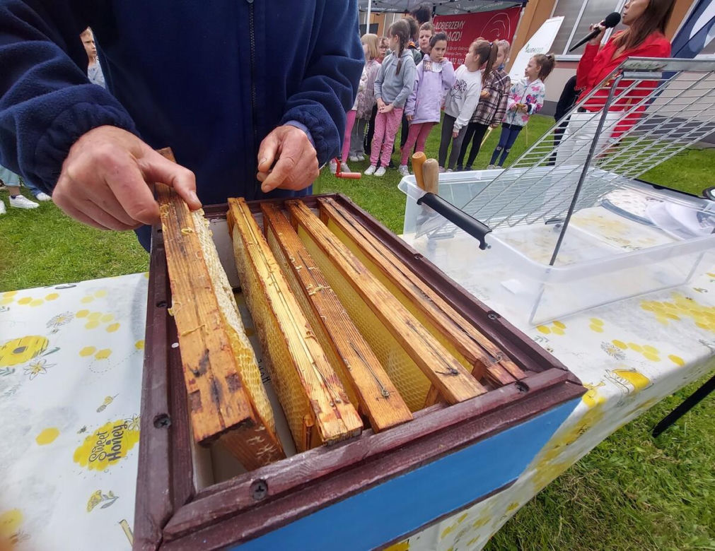 4. Miejskie Miodobranie w Zamościu