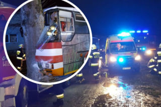 Autobus z dziećmi uderzył w drzewo! Są ranni. Dramat w Trzebiechowie 