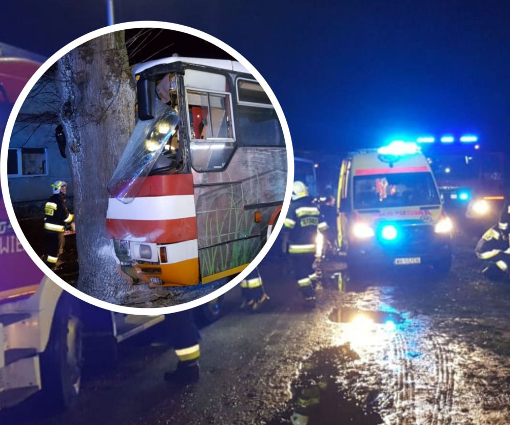 Autobus z dziećmi uderzył w drzewo! Są ranni. Dramat w Trzebiechowie 