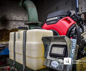 Usuwanie rdestowca na budowie Trasy Północnej