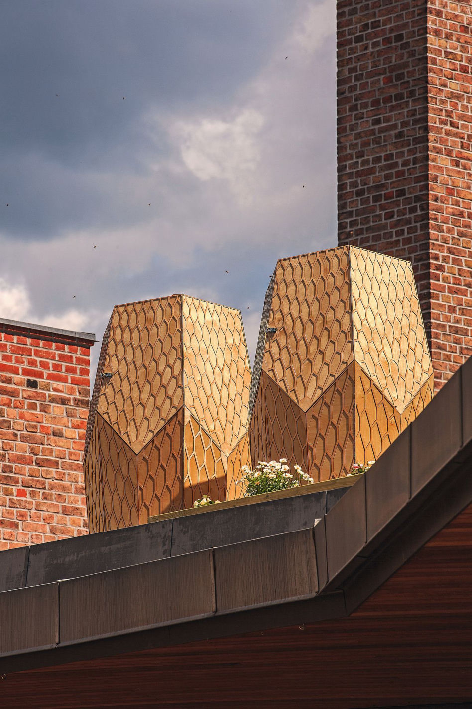 Architektura dla zwierząt