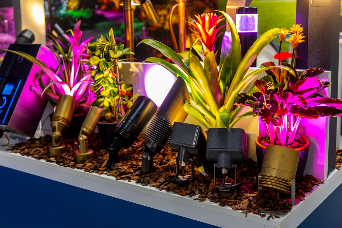 Warsaw Garden Expo