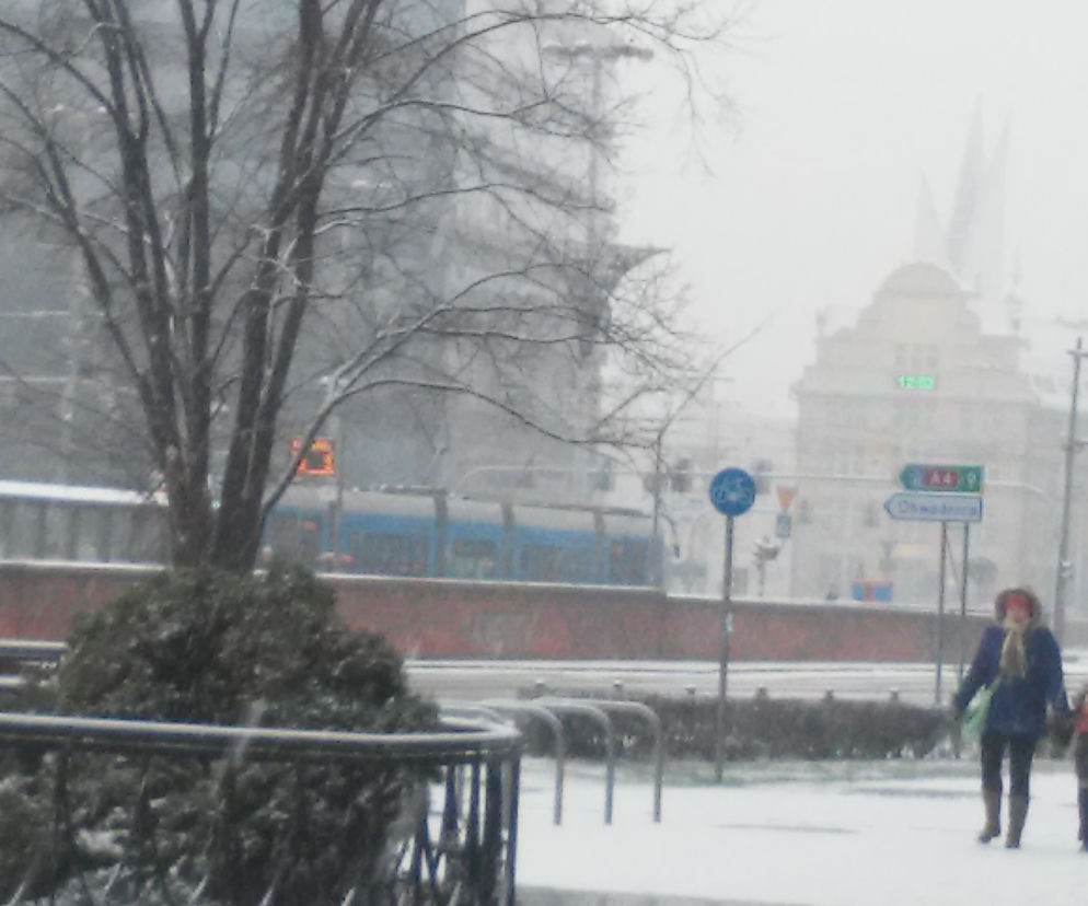 We Wrocławiu znów ma padać śnieg