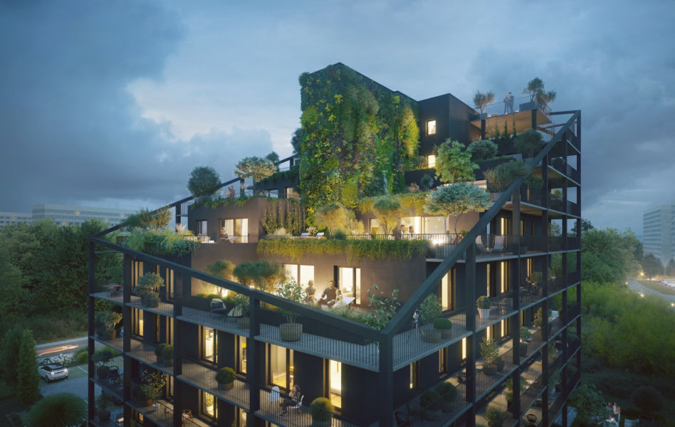Apartametowiec Żorro projektu Franta Group
