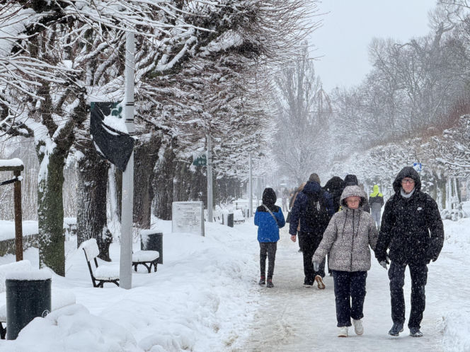 Bałtyk zimową porą, uchwycony w kadrach