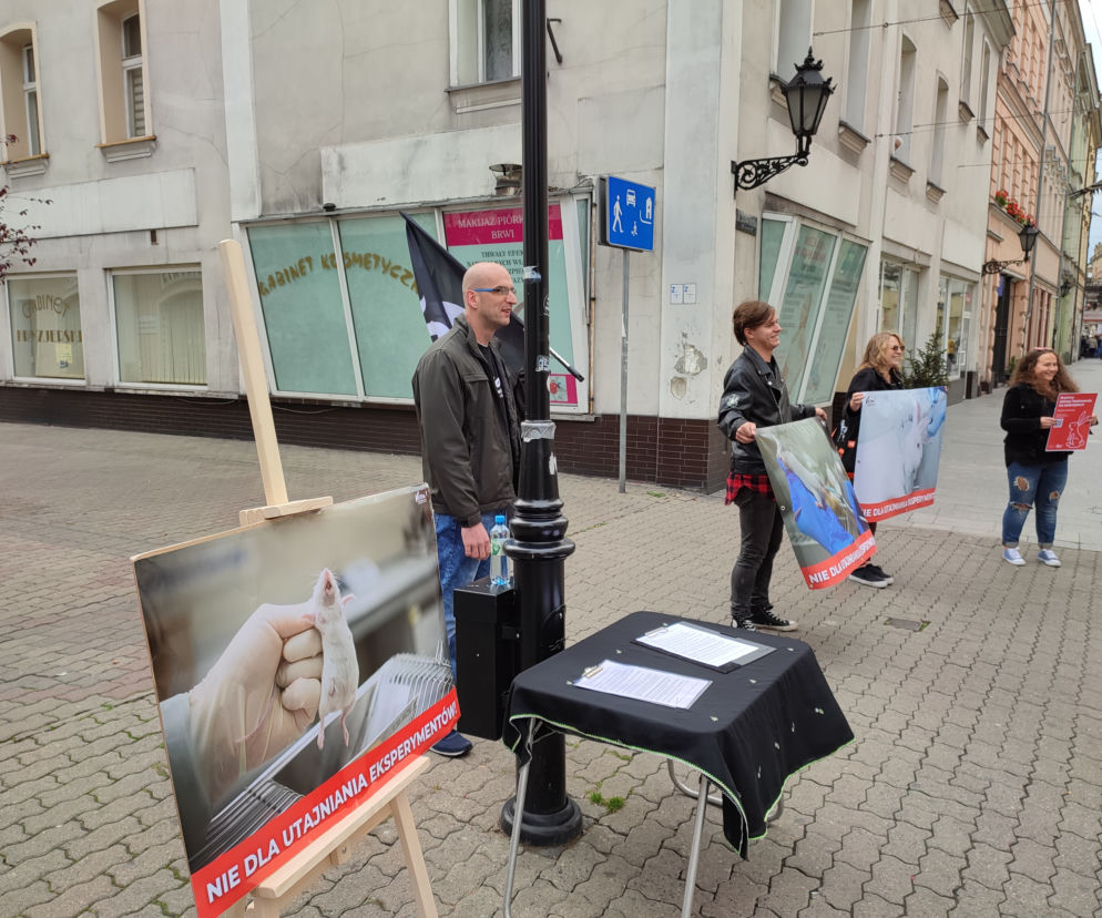 Protest Fundacji VIVA w Lesznie