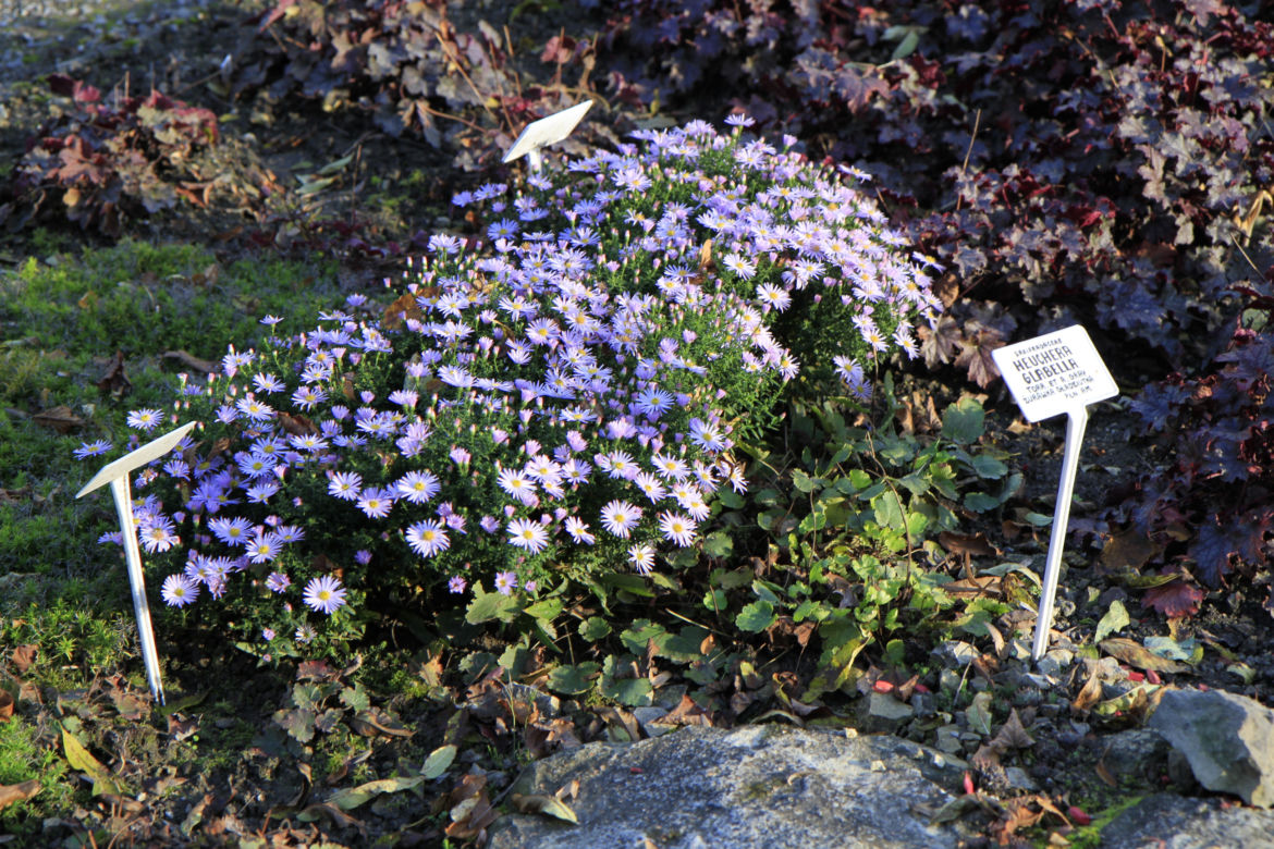 Spacer po jesiennych Ogrodzie Botanicznym w Lublinie