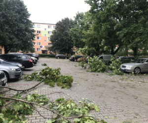 Jedną z dzielnic, któa ucierpiała najbardziej był Czechów Południowy
