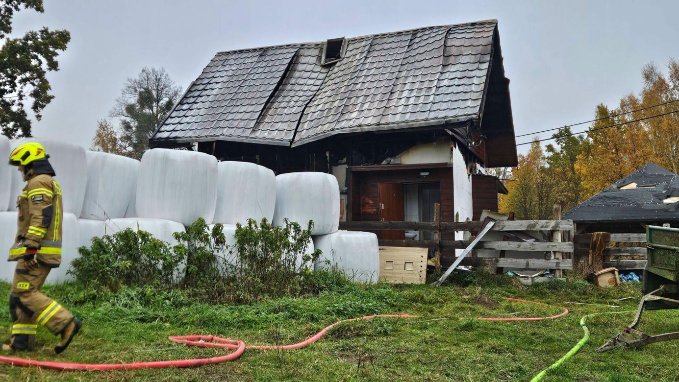 Cztery urocze szczeniaki uratowane z pogorzeliska. Nieprawdopodobne, gdzie ukryły się podczas pożaru