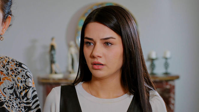 Miłość i nadzieja, odcinek 328. Bahar, Cavidan