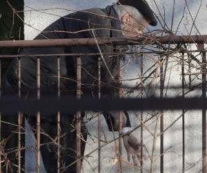 Koty Jarka nas terroryzują