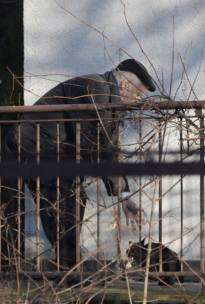 Koty Jarka nas terroryzują