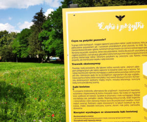 Łąki kwietne Lublina