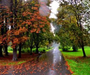 Park Ludowy