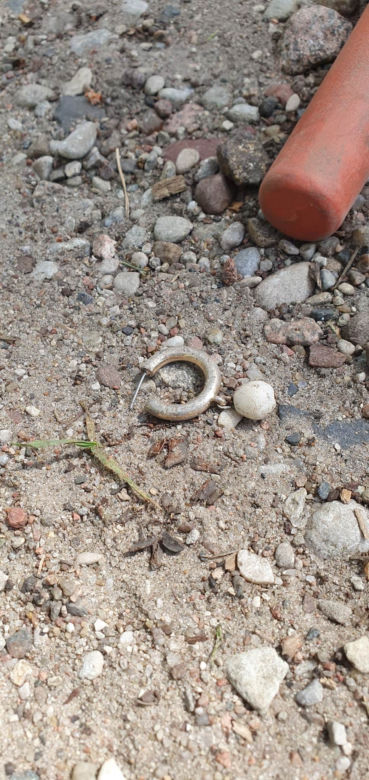 Leśniczy spod Bydgoszczy znalazł swoją ślubną obrączkę! Zgubił ja 23 lata temu 