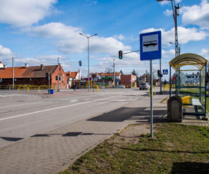 Kwarantanna Pszczółki