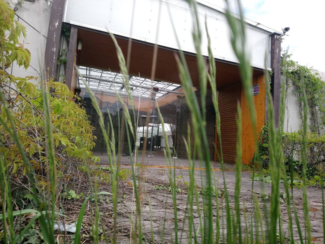 Kraków: Plaża przy Forum znika bezpowrotnie