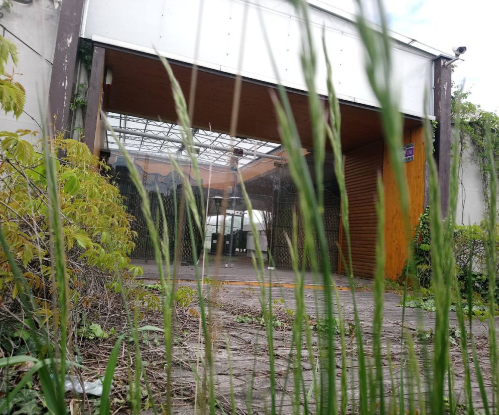 Kraków: Plaża przy Forum znika bezpowrotnie