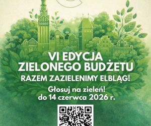 Głosowanie w Zielonym Budżecie Elbląga ruszyło