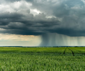 Trąba powietrzna na Mazurach? Jest nagranie, ale brak zgłoszeń o szkodach