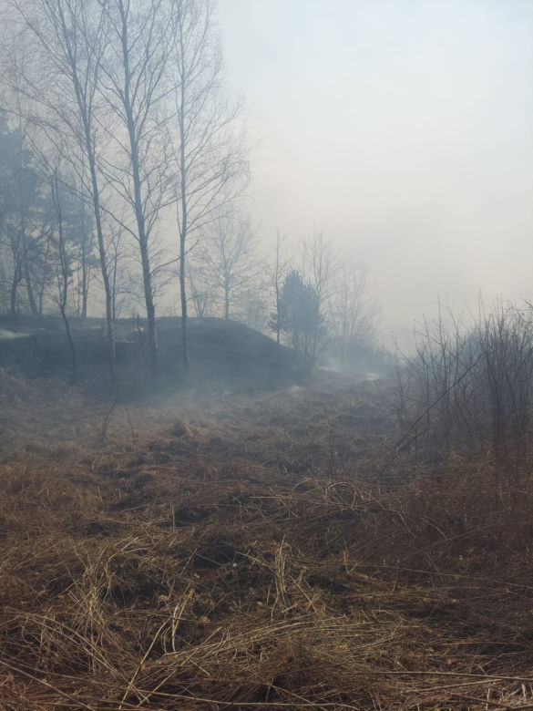 Płonie ponad 10 ha traw w Brodach! Na miejsce leci samolot gaśniczy