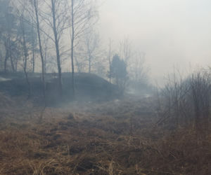 Płonie ponad 10 ha traw w Brodach! Na miejsce leci samolot gaśniczy