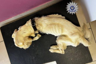 Szokująca interwencja w Chełmie