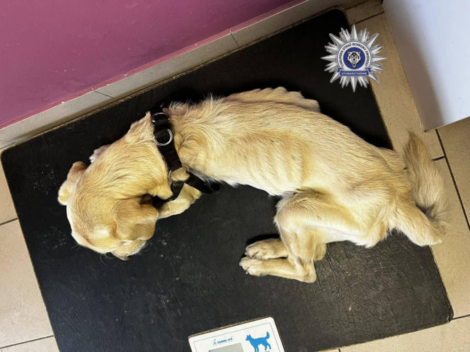 Szokująca interwencja w Chełmie