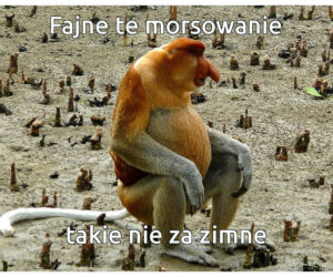Morsowanie: MEMY 2021. Zobacz najlepsze obrazki i memy o morsowaniu! [ZDJĘCIA]