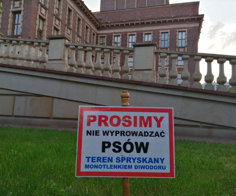 Śląskie: Trawniki opryskane TAJEMNICZĄ SUBSTANCJĄ. To ma odstraszać psy i właścicieli