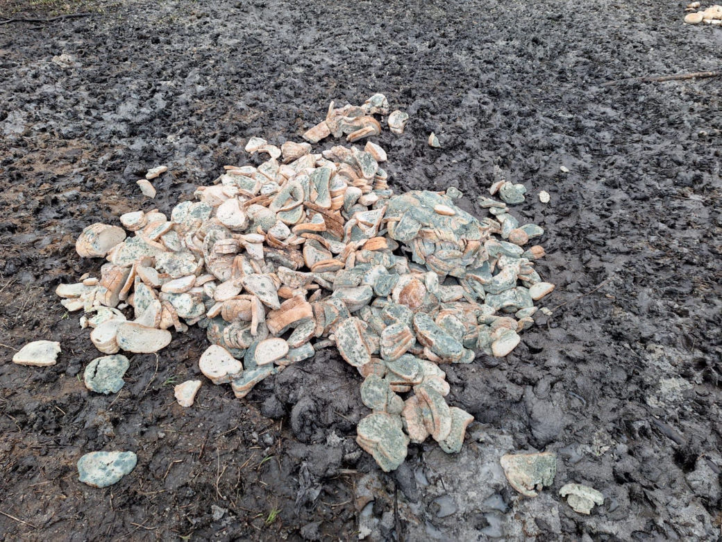 Ktoś wyrzucił spleśniałe kanapki do lasu. To może bardzo zaszkodzić zwierzętom