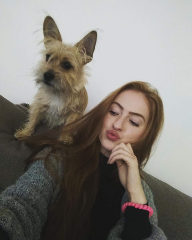 Międzynarodowy Dzień Psa