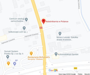 Opole. Gdzie zamówić jedzenie na dowóz? [LISTA]