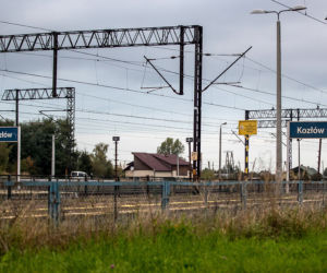 Przejechał po nim pociąg i żyje