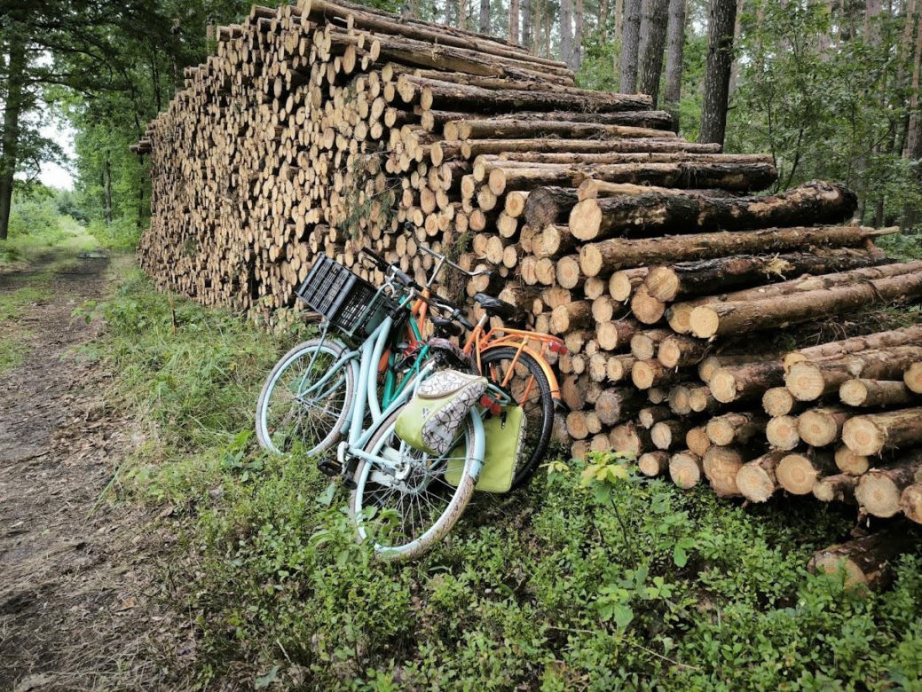 Najpiękniejsza trasa rowerowa