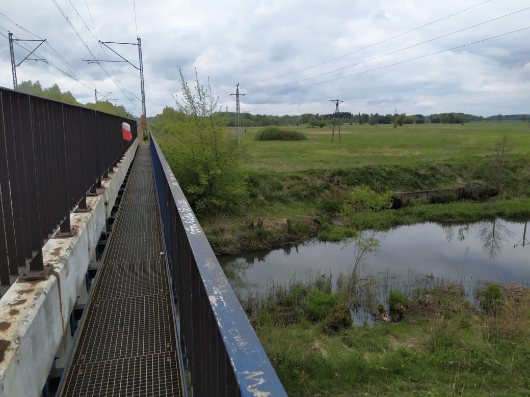 Sprzątanie mostu kolejowego nad rzeką Muchawką - 15.05.2021