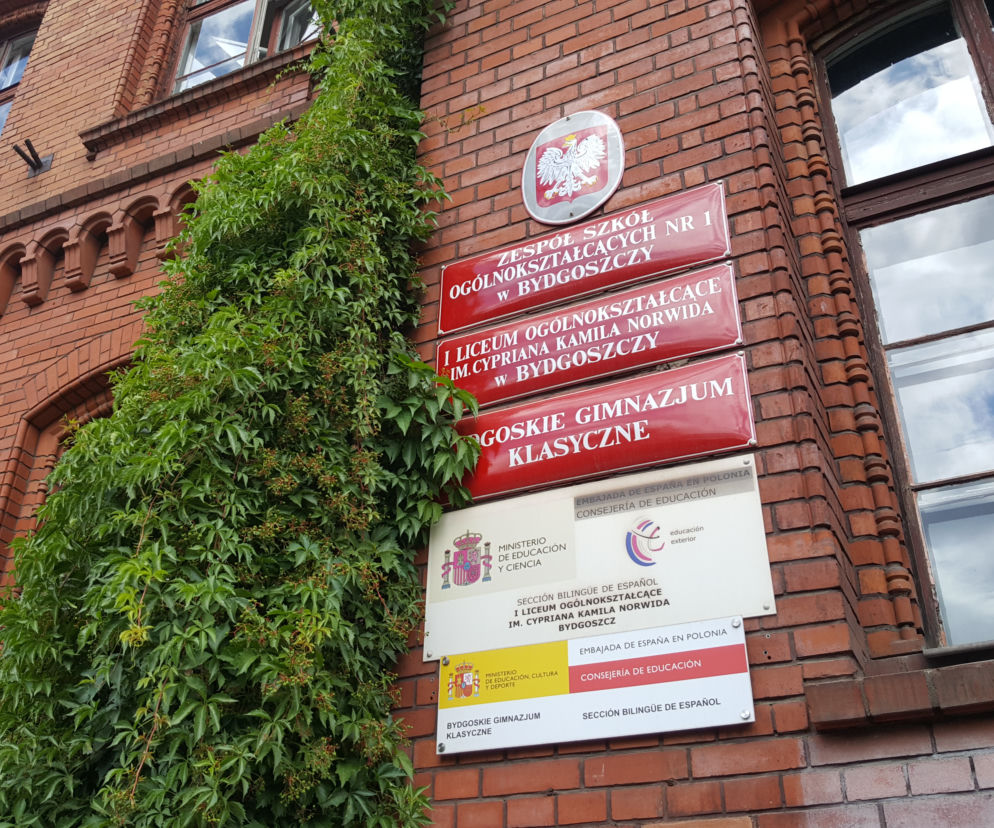 Wyniki matur 2019. Jak poszła matura uczniom z województwa Kujawsko-Pomorskiego? [OKE GDAŃSK]