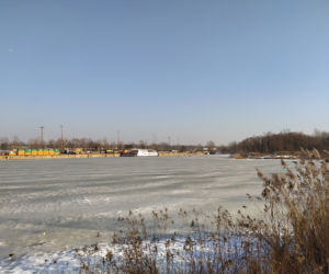 Mimo dodatnich temperatur spacerują po lodzie. Sprawa dzieli mieszkańców Białołęki